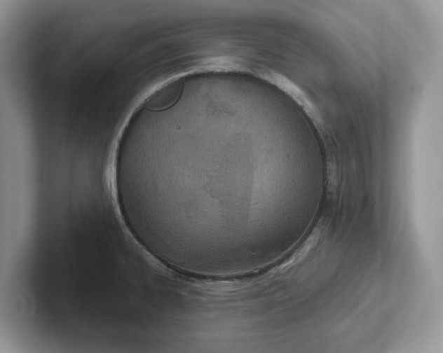 X0000101441334200807211203