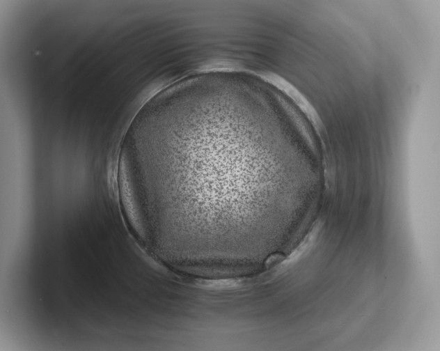 X0000101441337200807211203