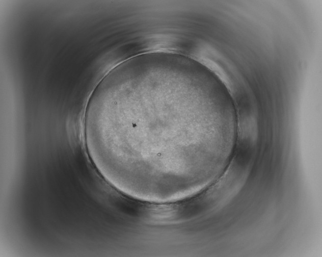 X0000101441338200807211203