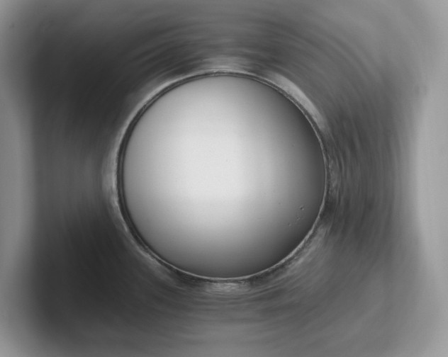 X0000101441339200807211203