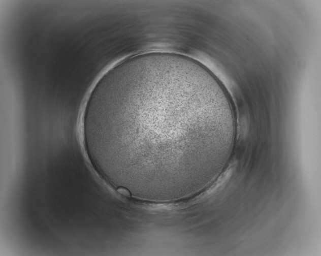 X0000101441341200807211203