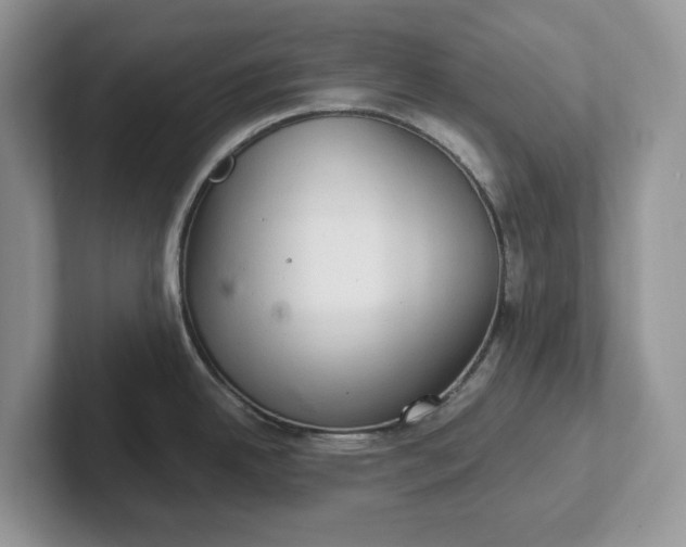 X0000101441342200807211203