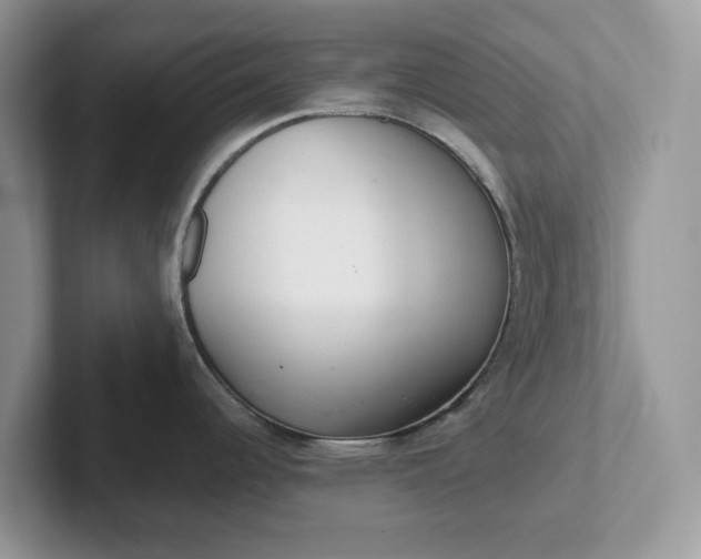 X0000101441344200807211203