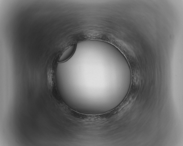 X0000101441346200807211203