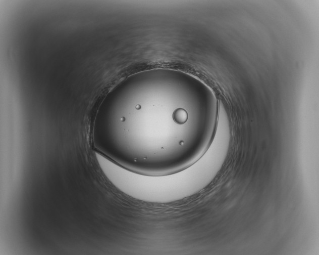 X0000101441348200807211203