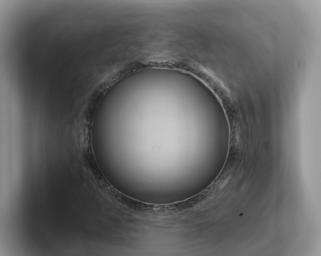 X0000101441350200807211203