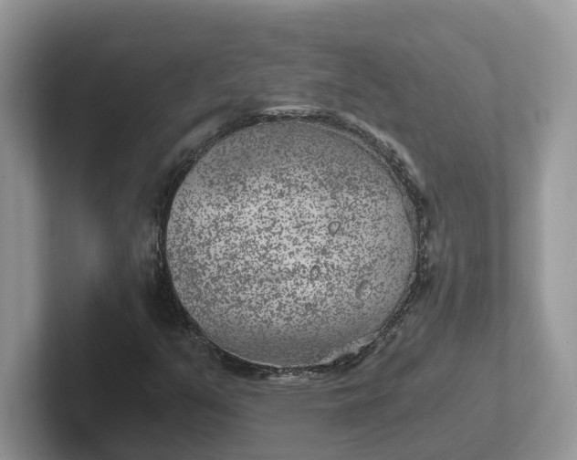 X0000101441351200807211203