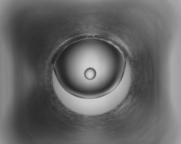 X0000101441352200807211203