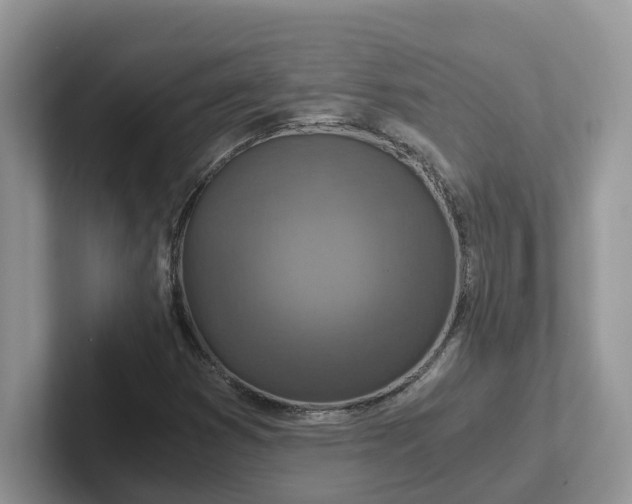 X0000101441353200807211203