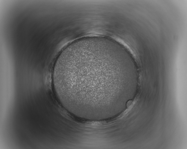 X0000101441355200807211203