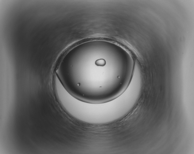 X0000101441356200807211203