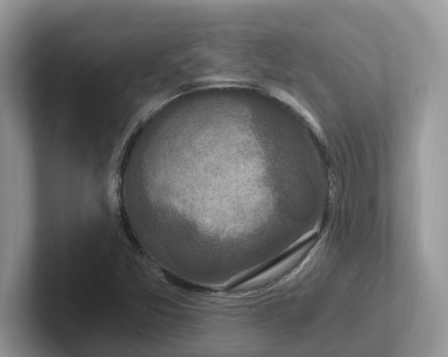 X0000101441357200807211203