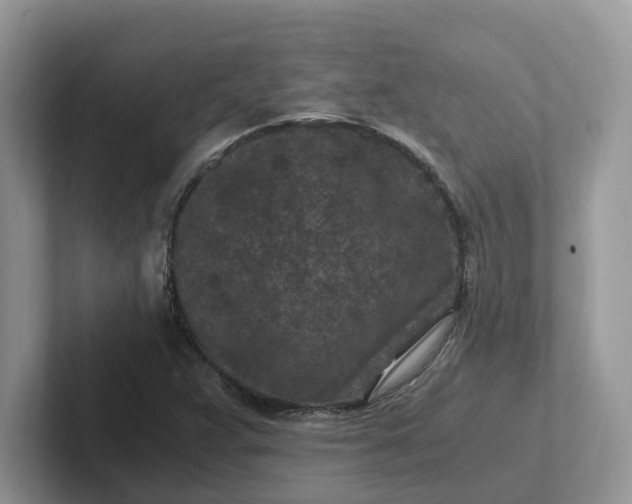 X0000101441359200807211203