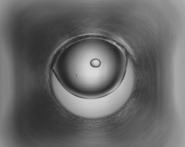 X0000101441360200807211203