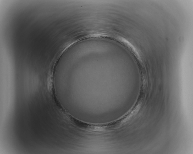 X0000101441361200807211203