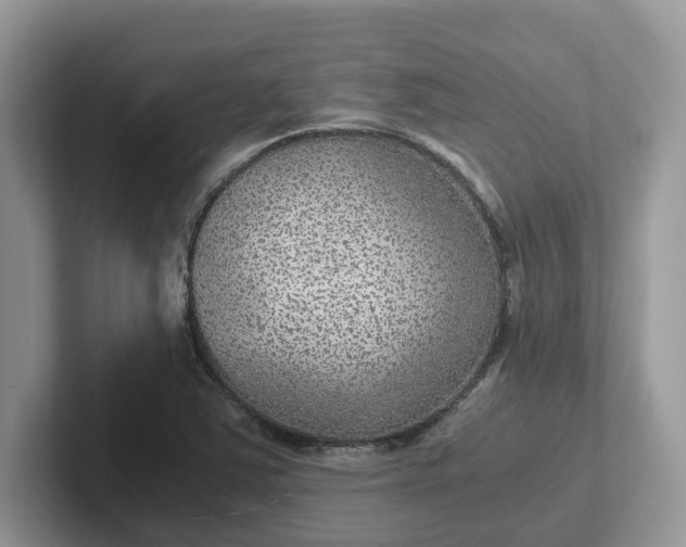 X0000101441363200807211203