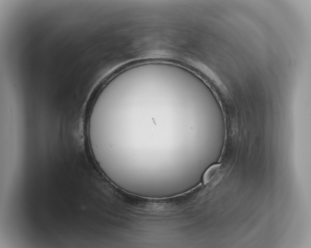 X0000101441364200807211203