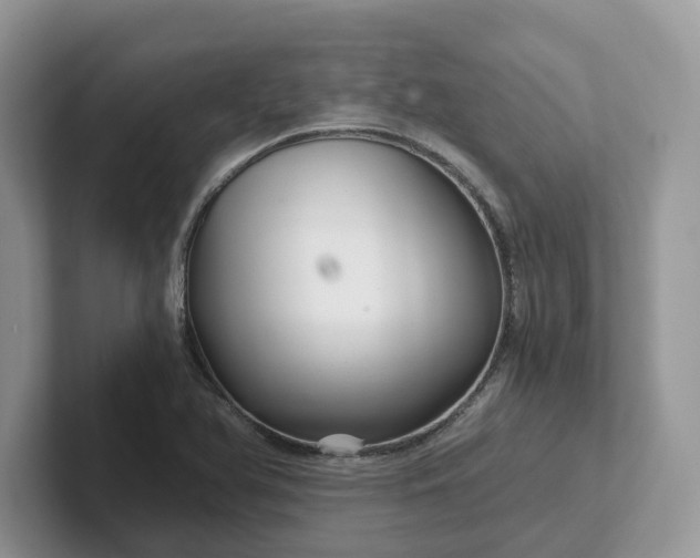 X0000101441366200807211203