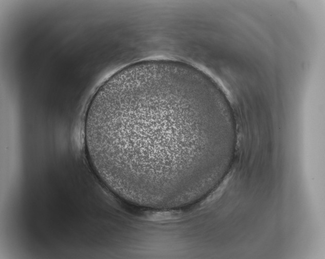 X0000101441367200807211202