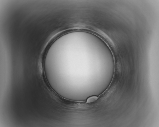 X0000101441368200807211202