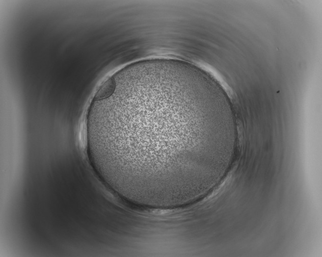 X0000101441371200807211202