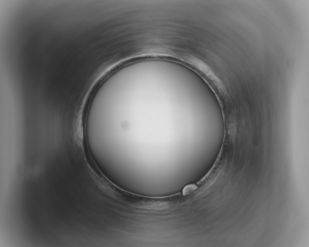 X0000101441372200807211202