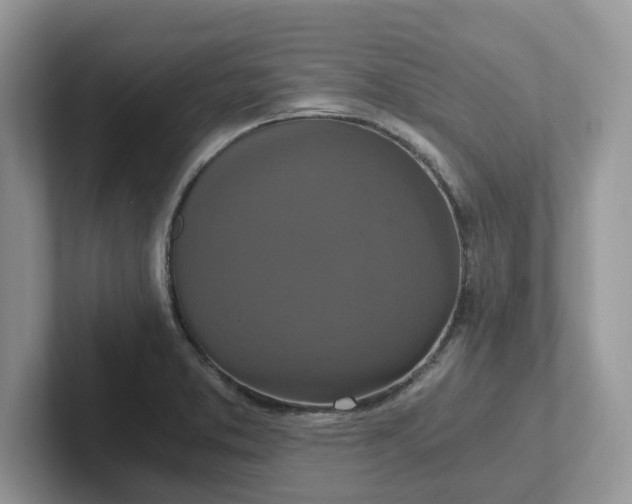 X0000101441373200807211202