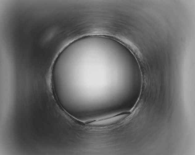 X0000101441374200807211202