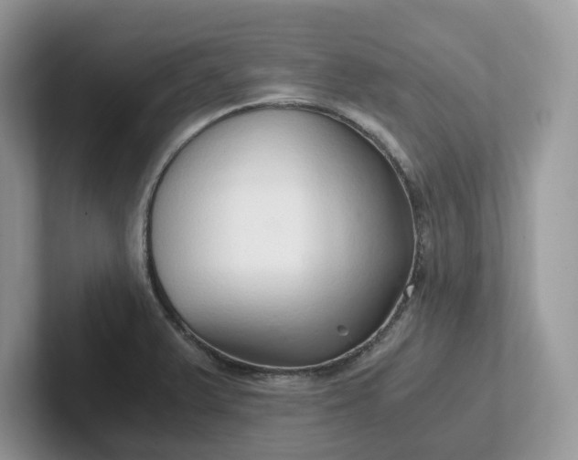 X0000101441375200807211202