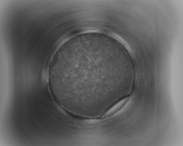 X0000101441377200807211202