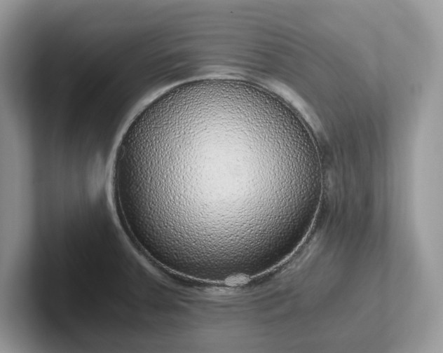 X0000101441379200807211202