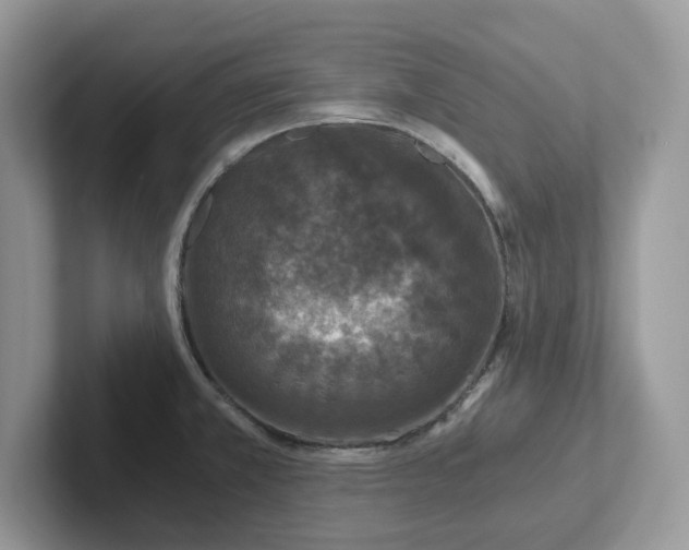 X0000101441381200807211202