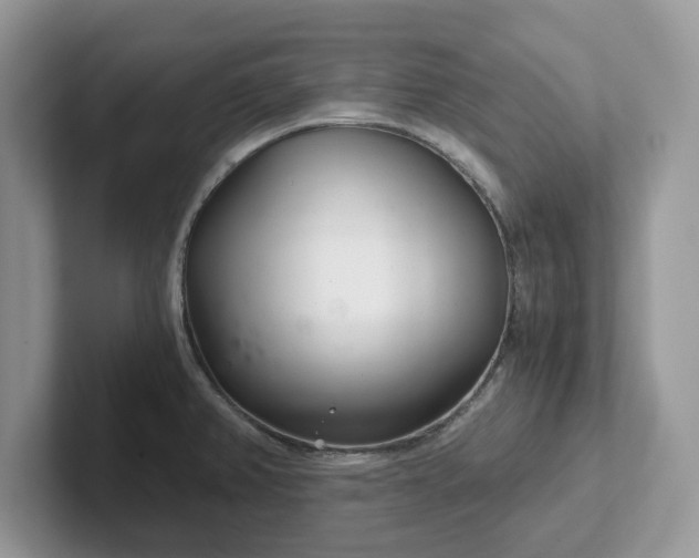 X0000101441382200807211202