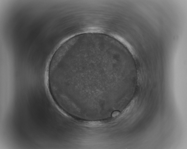 X0000101441383200807211202