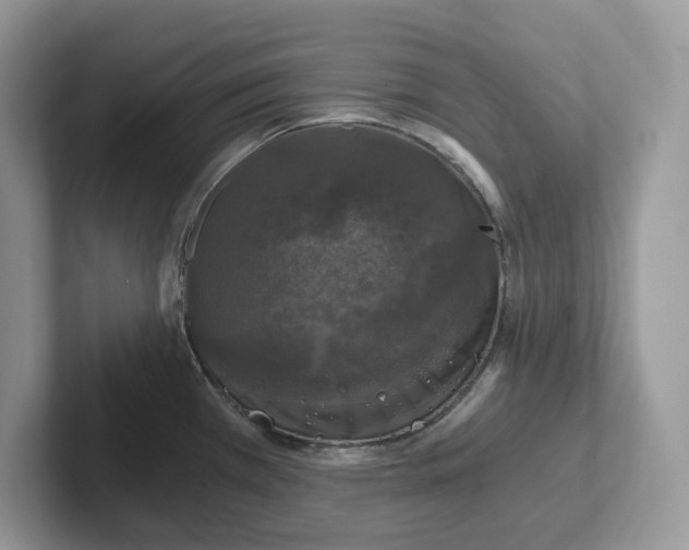 X0000101441385200807211202