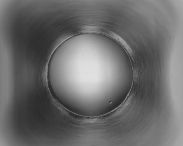 X0000101441386200807211202