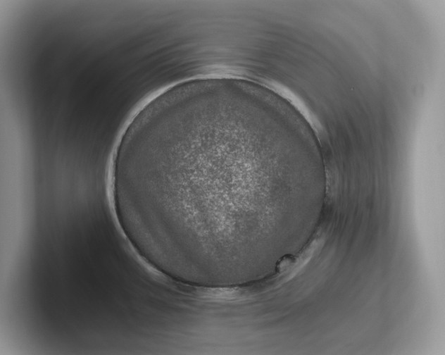 X0000101441387200807211202