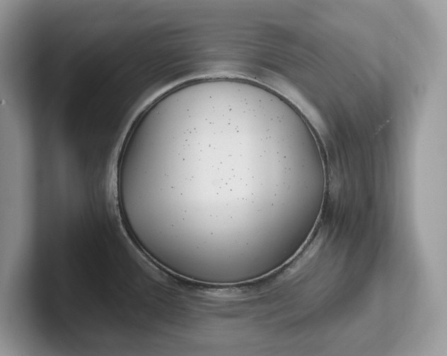 X0000101441388200807211202