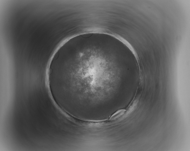 X0000101441389200807211202