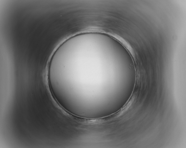 X0000101441390200807211202