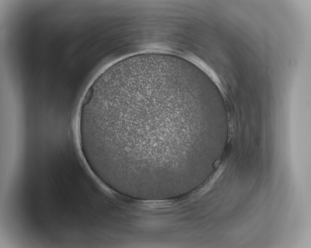 X0000101441391200807211202