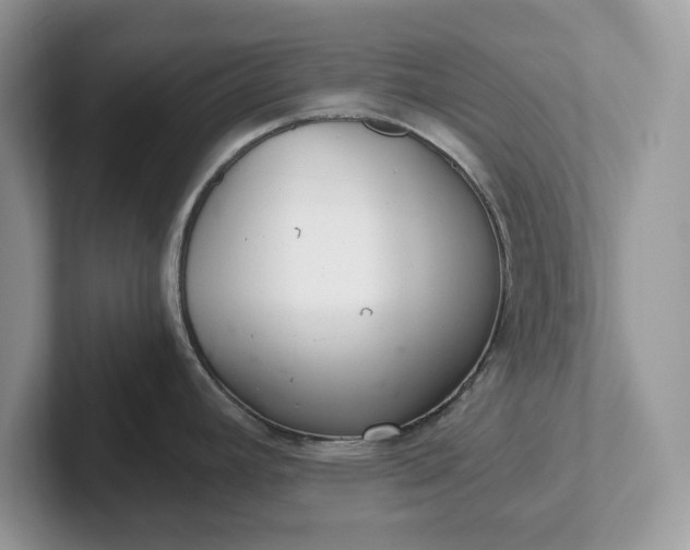 X0000101441392200807211202