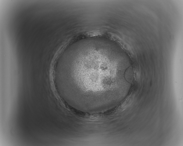 X0000101441393200807211201