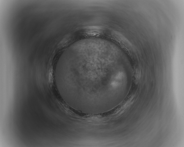 X0000101441394200807211201