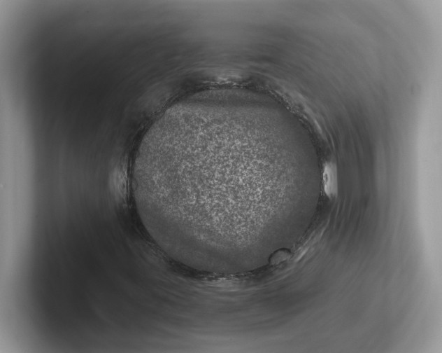 X0000101441395200807211202