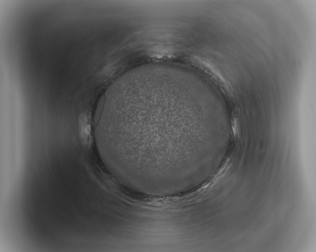 X0000101441396200807211202