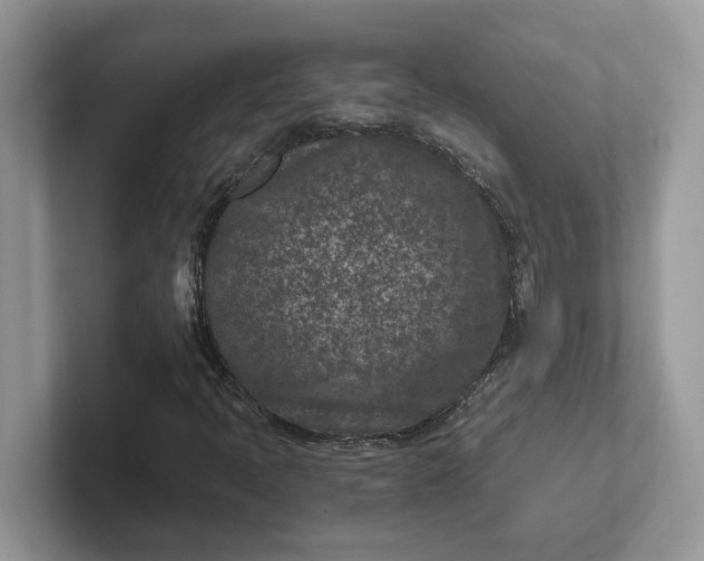 X0000101441397200807211202