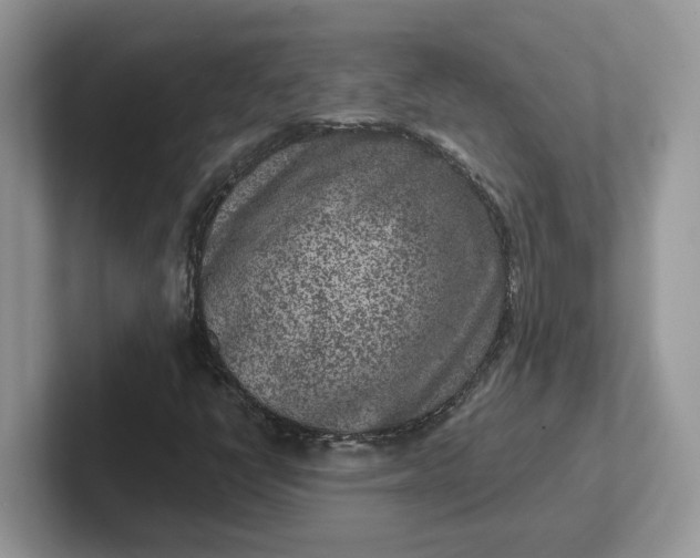 X0000101441398200807211202