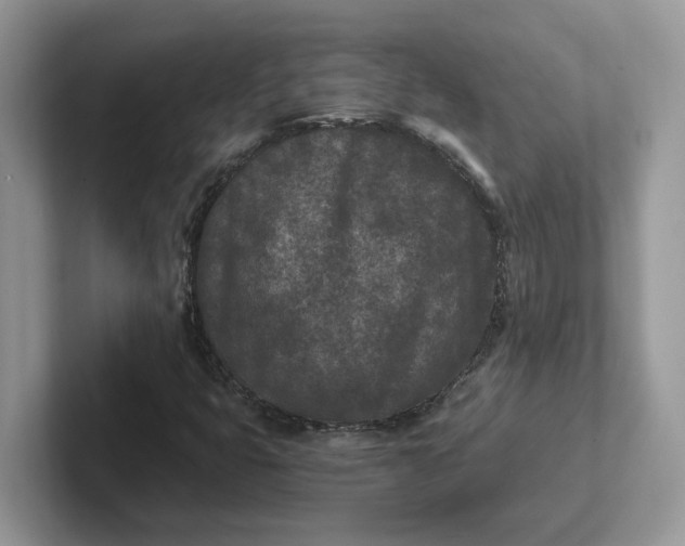 X0000101441399200807211202