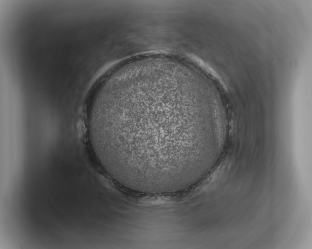 X0000101441400200807211202